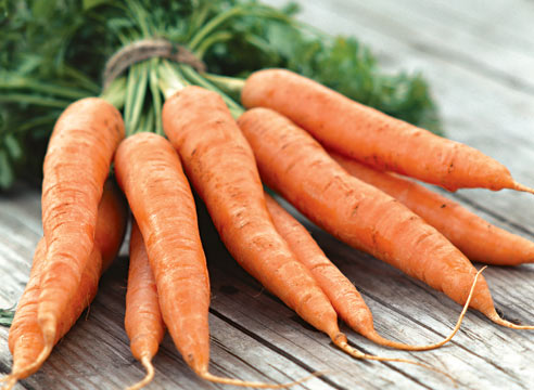 Выращиваем морковь