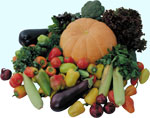 Роль овощей в нашем питании